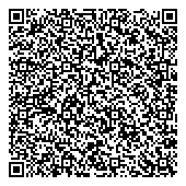 A P.n. Trading Engineering Services QR Card