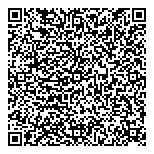 Cybervision Consulting QR Card